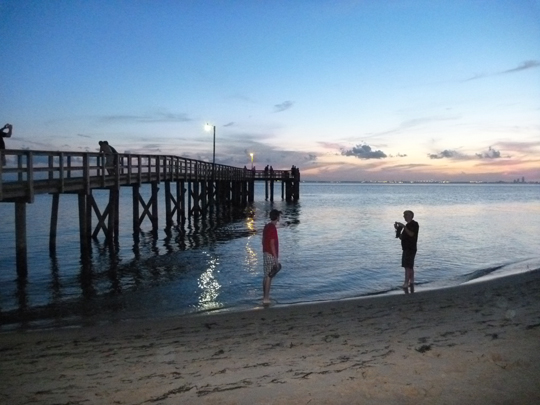 Volunteer at a beach nearby