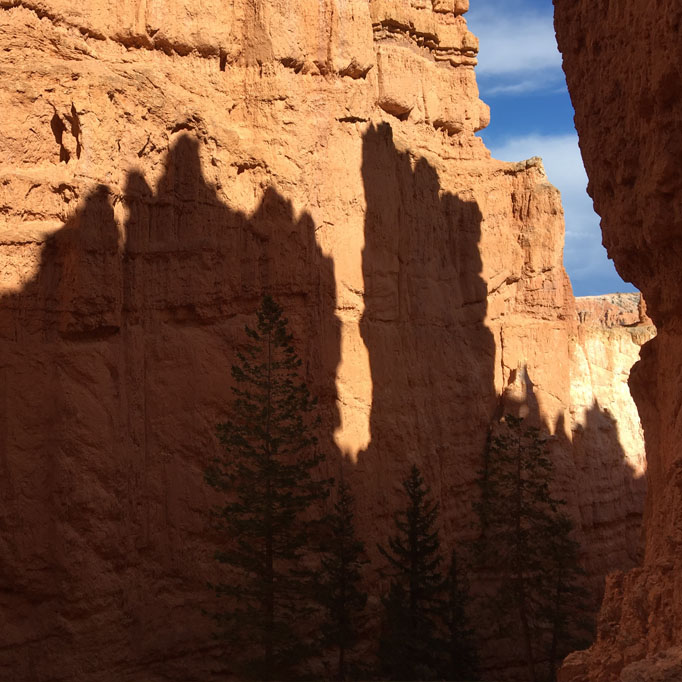 Bryce hike up