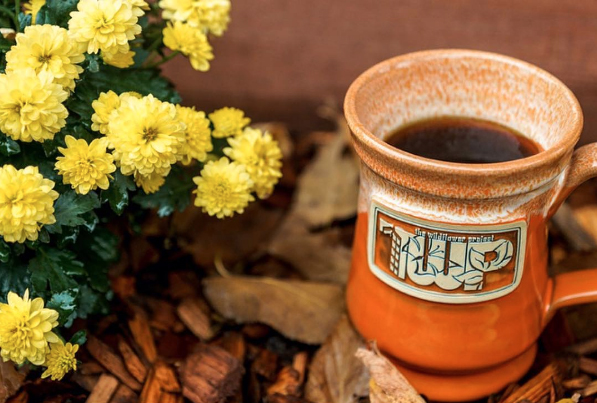 Deneen Pottery Wildflower Project