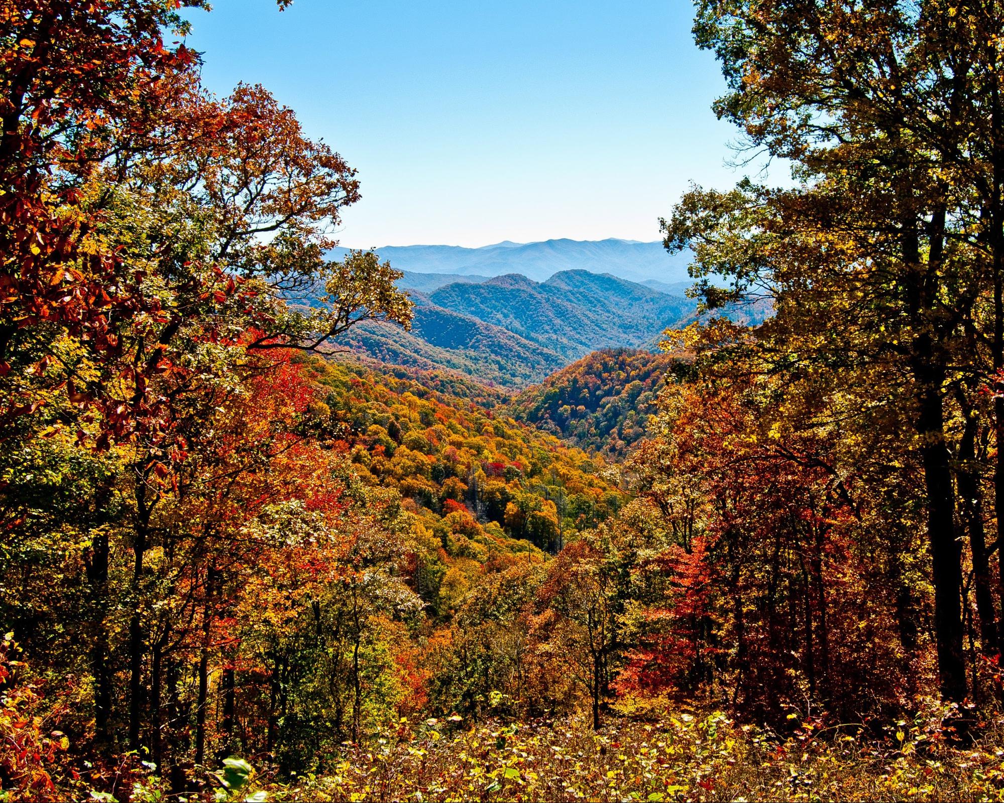 Great Smoky Mountains National Park, Tennessee and North Carolina