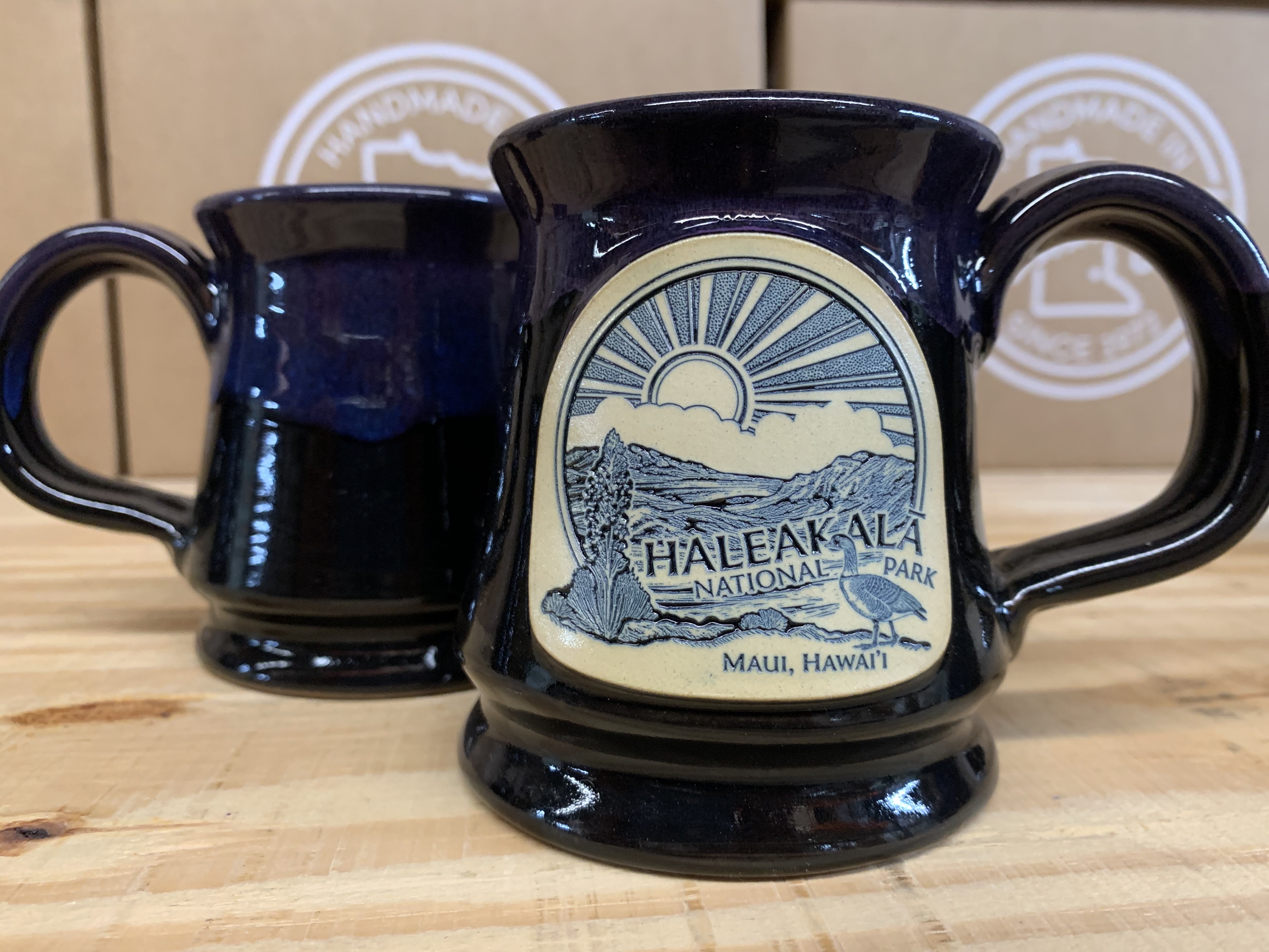 Haleakala National Park Coffee Mug - Deneen Pottery