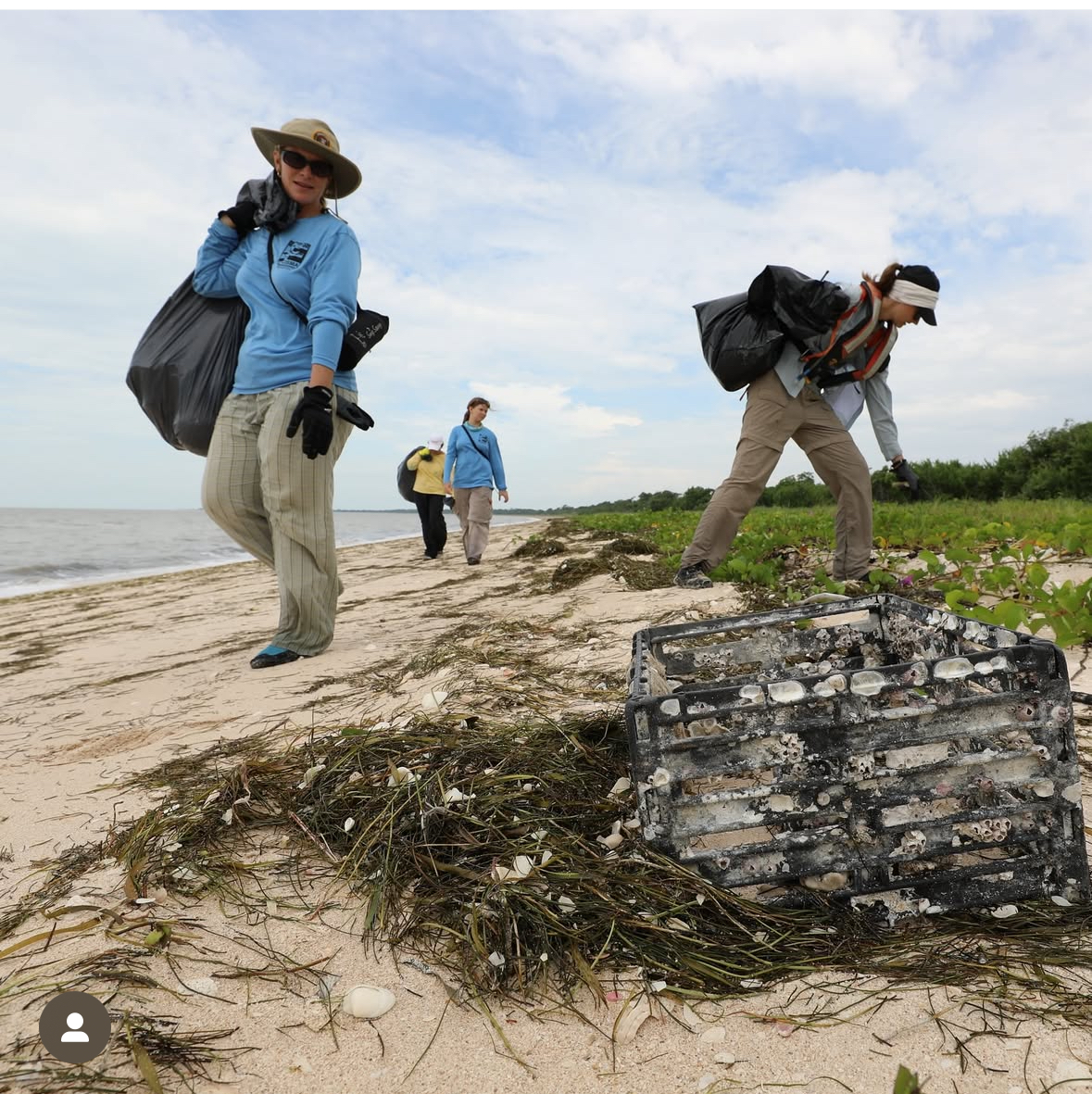 volunteers cleaning