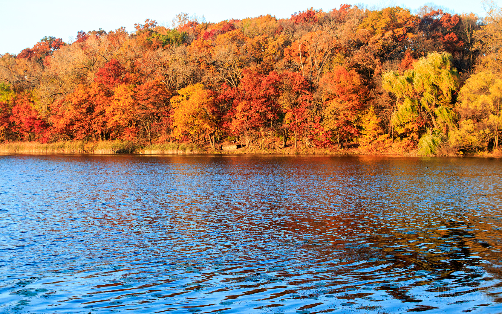 fall in minnesota