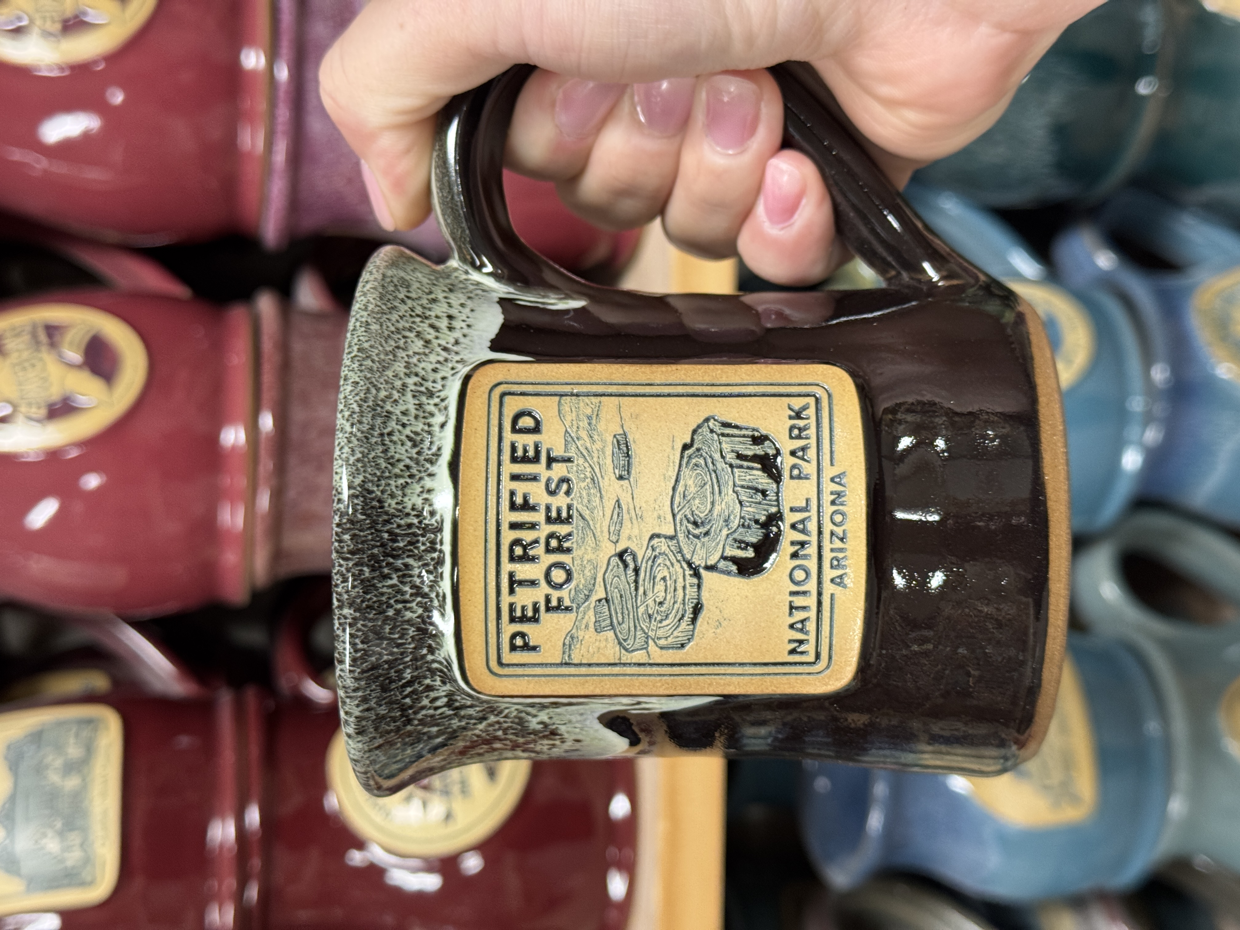 Flare Petrified Forest Mug