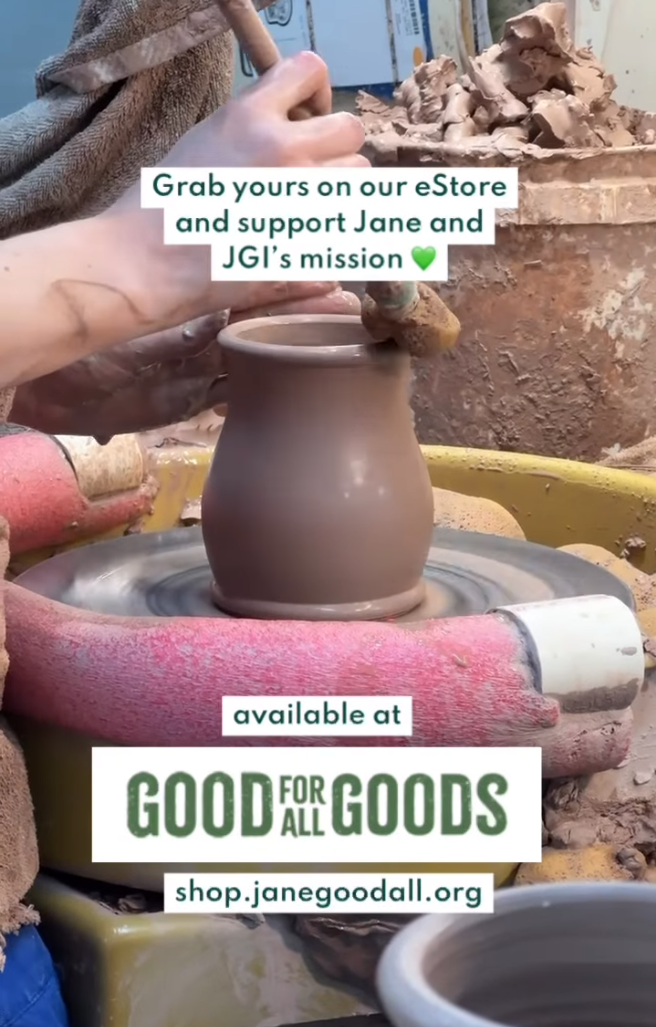 good for all goods mugs 